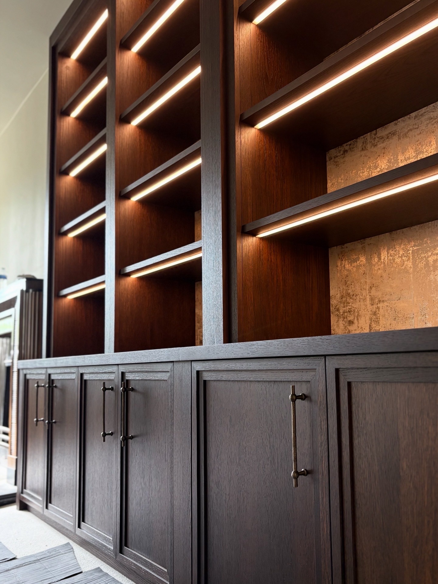 Dark Oak Library